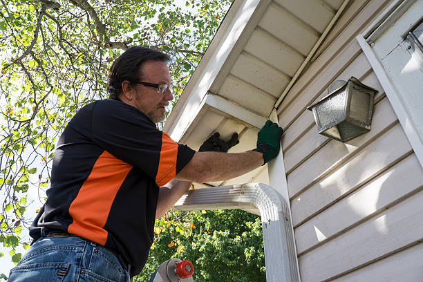 Shed Removal in New Hackensack, NY